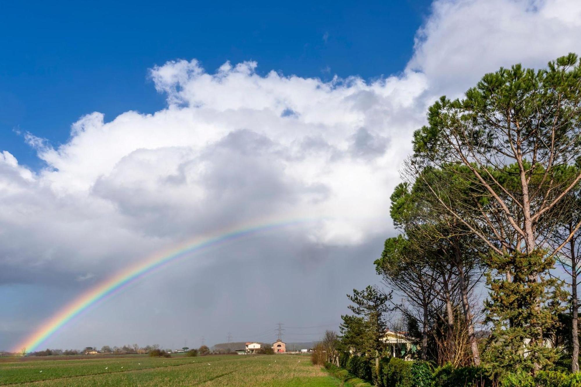 Tenuta Santa Colomba - Happy Rentals Bientina エクステリア 写真
